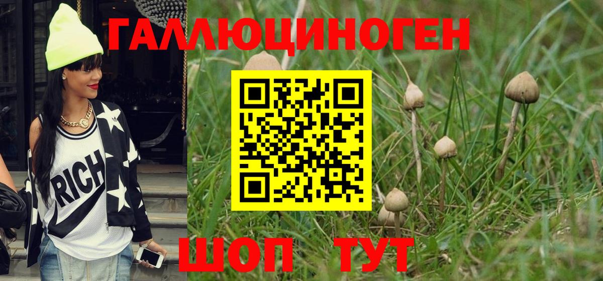 Дзержинск  Псилоцибиновые грибы мицелий  Вход с VPN  Галлюциногенные грибы прущие грибы 