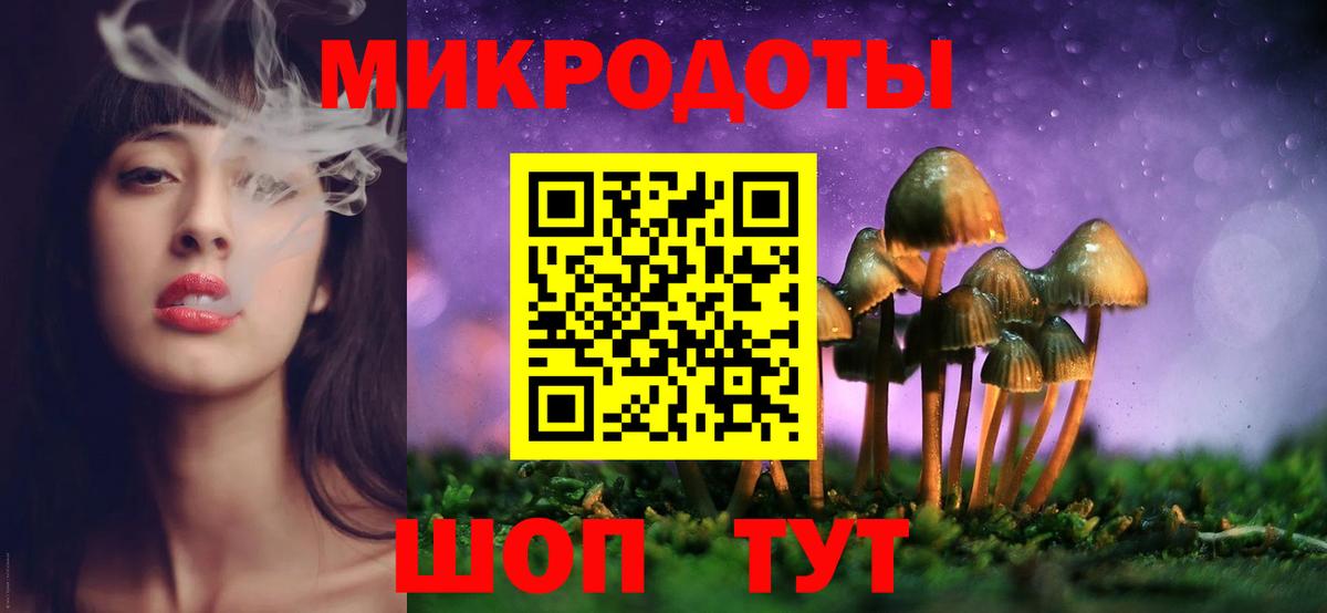 Псилоцибиновые грибы мицелий Дзержинск